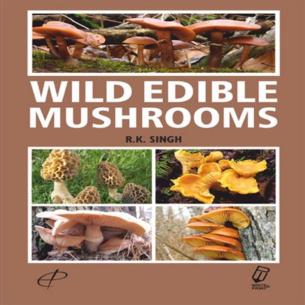 Produktbild: Wild Edible Mushrooms