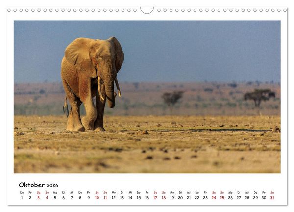 Produktbild: Tierparadies Kenia (Wandkalender 2026 DIN A3 quer), CALVENDO Monatskalender