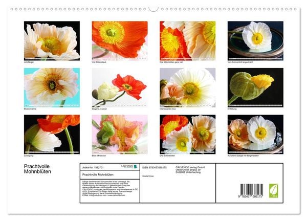Produktbild: Prachtvolle Mohnbl&uuml;ten (hochwertiger Premium Wandkalender 2026 DIN A2 quer), Kunstdruck in Hochglanz