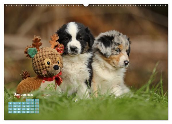 Produktbild: Lillyfee und ein K&ouml;rbchen voller Gl&uuml;ck (hochwertiger Premium Wandkalender 2027 DIN A2 quer), Kunstdruck in Hochglanz