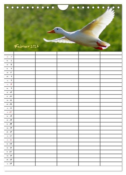 Produktbild: Bauernhoftiere Familienplaner (Wandkalender 2026 DIN A4 hoch), CALVENDO Monatskalender