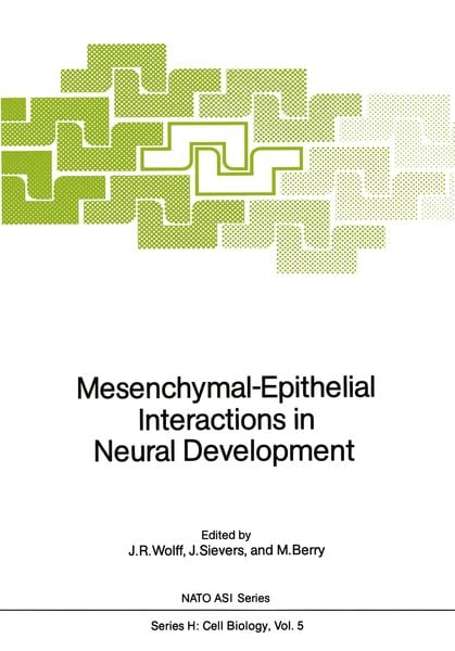 Produktbild: Mesenchymal-Epithelial Interactions in Neural Development