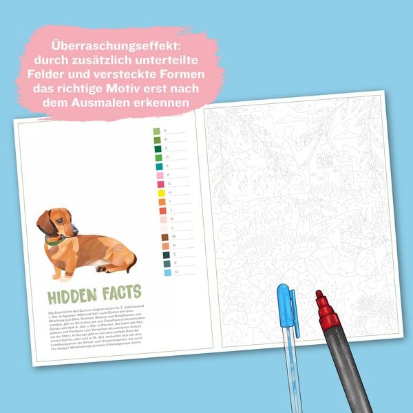 Produktbild: Colorful Surprise - Blumen