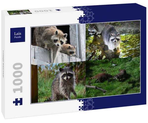 Produktbild: Lais Puzzle Collage Waschb&auml;r 1000 Teile