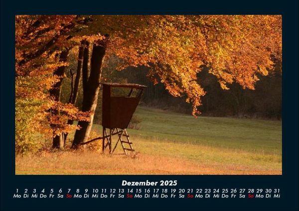 Produktbild: Waldzauber 2025 Fotokalender DIN A4
