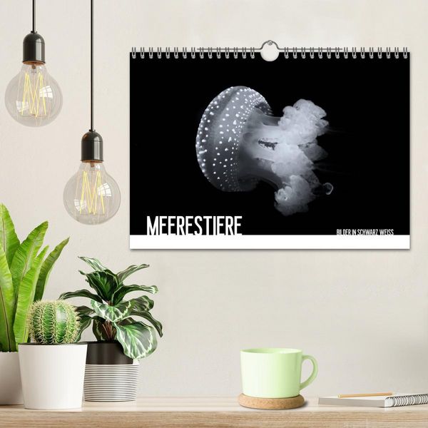 Produktbild: Meerestiere Bilder in Schwarz Weiss (Wandkalender 2026 DIN A4 quer), CALVENDO Monatskalender