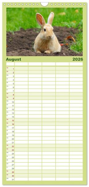 Produktbild: Familienplaner 2026 - Liebenswerte Zwergkaninchen mit 5 Spalten (Wandkalender, 21 x 45 cm) CALVENDO