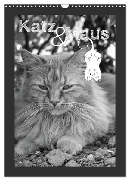 Produktbild: Katz & Maus (Wandkalender 2026 DIN A3 hoch), CALVENDO Monatskalender