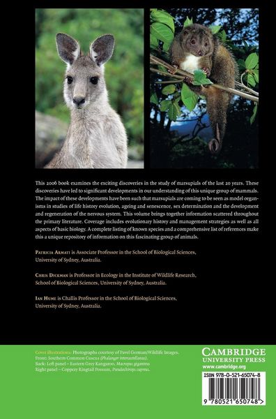 Produktbild: Marsupials
