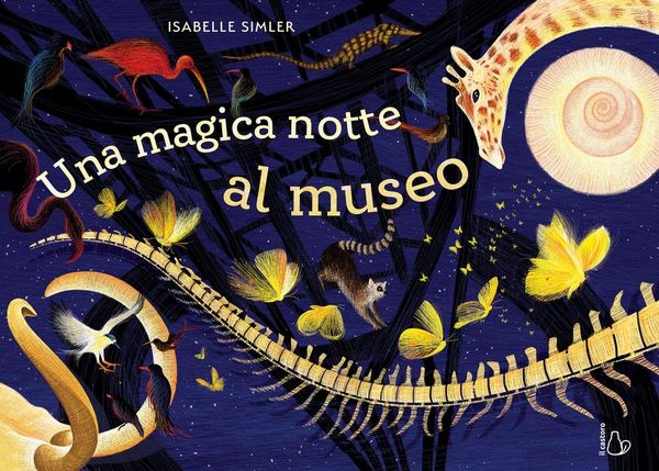 Produktbild: Una magica notte al museo