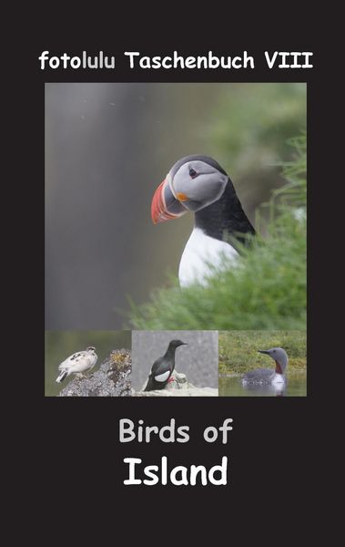 Produktbild: Birds of Island