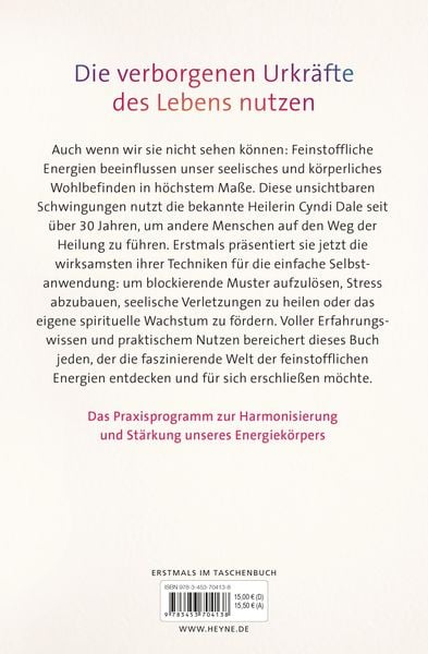 Produktbild: Das gro&szlig;e Buch der feinstofflichen Energien