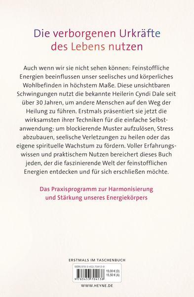 Produktbild: Das gro&szlig;e Buch der feinstofflichen Energien