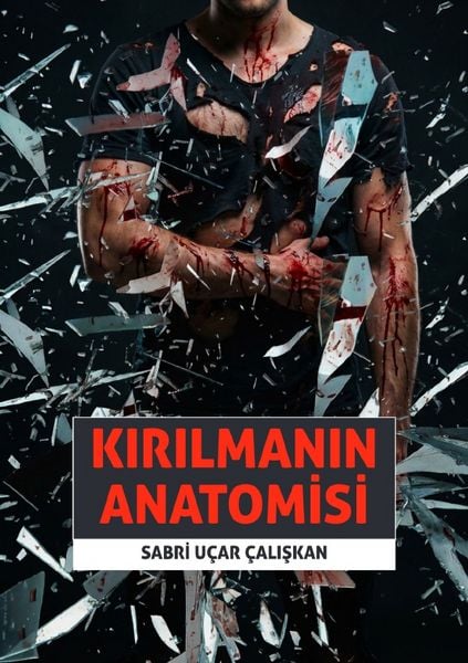 Produktbild: Kırılmanın anatomisi