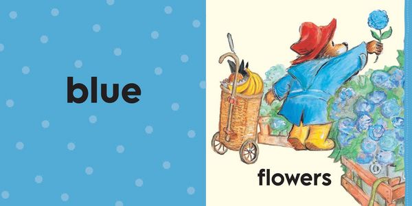 Produktbild: Paddington Colours BRD