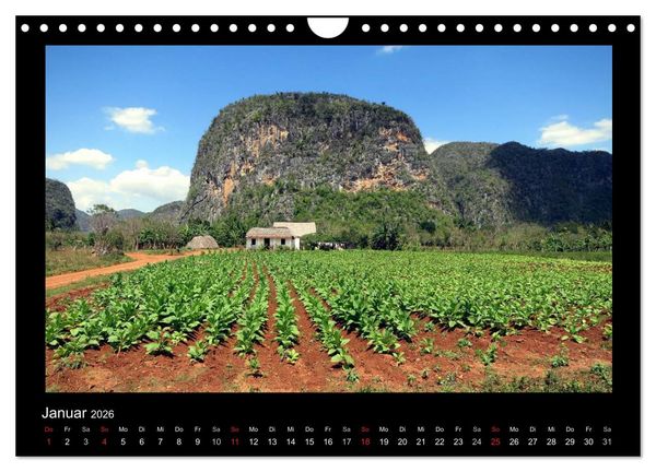 Produktbild: Viva Cuba! (Wandkalender 2026 DIN A4 quer), CALVENDO Monatskalender