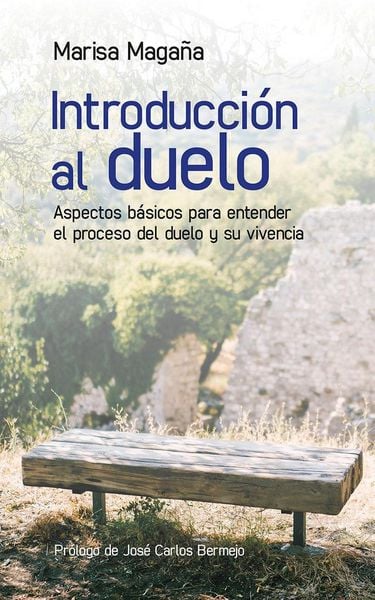 Produktbild: Introducci&oacute;n al duelo : aspectos b&aacute;sicos para entender el proceso del duelo y su vivencia