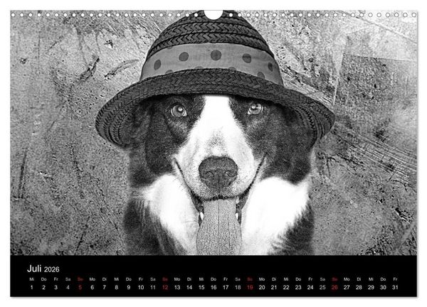Produktbild: H&uuml;tehunde (Wandkalender 2026 DIN A3 quer), CALVENDO Monatskalender
