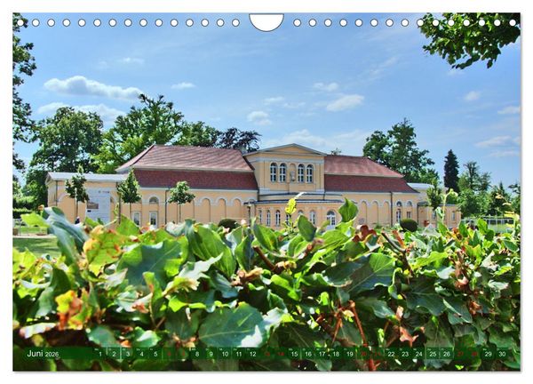 Produktbild: Schlossgarten Neustrelitz (Wandkalender 2026 DIN A4 quer), CALVENDO Monatskalender