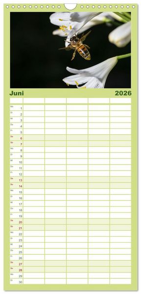 Produktbild: Familienplaner 2026 - Die Wunderwelt der Biene mit 5 Spalten (Wandkalender, 21 x 45 cm) CALVENDO