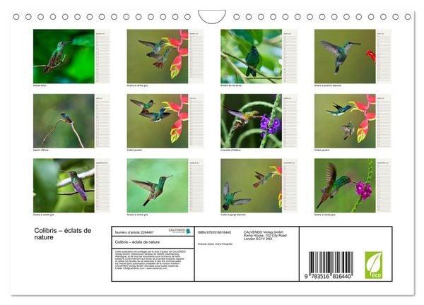 Produktbild: Colibris &ndash; &eacute;clats de nature (Calendrier mural 2027 DIN A4 vertical), CALVENDO calendrier mensuel