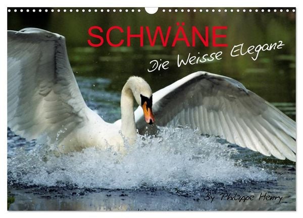 Produktbild: SCHW&Auml;NE. (Wandkalender 2026 DIN A3 quer), CALVENDO Monatskalender