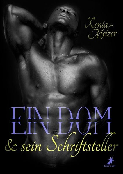 Produktbild: Ein Dom und sein Schriftsteller