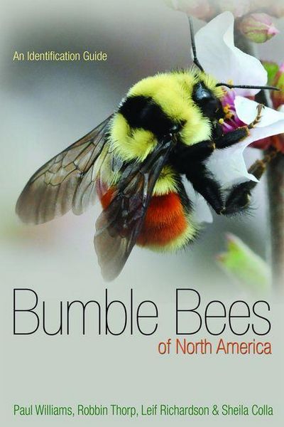 Produktbild: Bumble Bees of North America