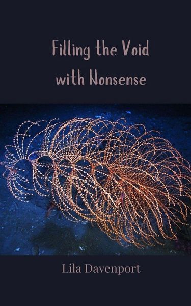 Produktbild: Filling the Void with Nonsense