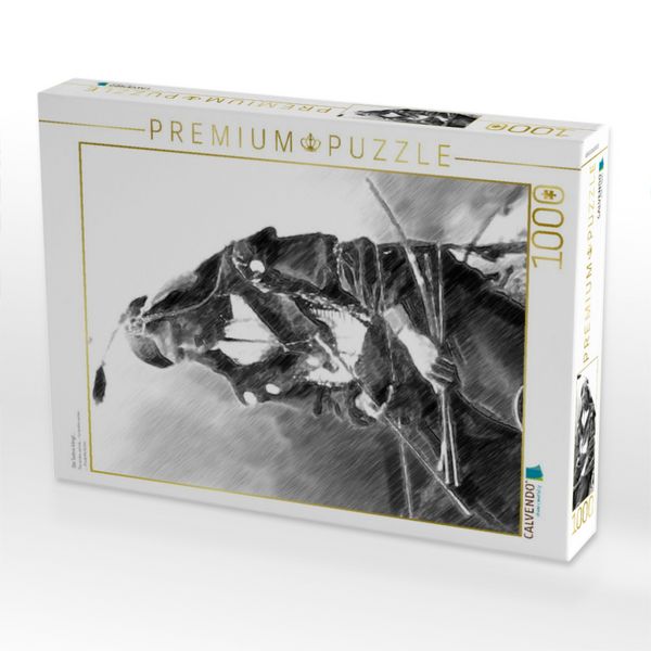 Produktbild: CALVENDO Puzzle Die Sehne klingt.... | 1000 Teile Lege-Gr&ouml;&szlig;e 64x48cm Foto-Puzzle f&uuml;r gl&uuml;ckliche Stunden