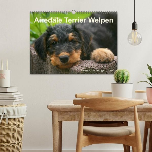 Produktbild: Airedale Terrier Welpen (Wandkalender 2026 DIN A3 quer), CALVENDO Monatskalender