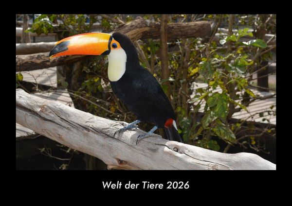 Produktbild: Welt der Tiere 2026 Fotokalender DIN A3