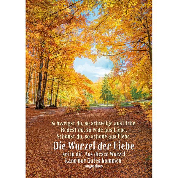 Produktbild: Tage voller Licht 2027