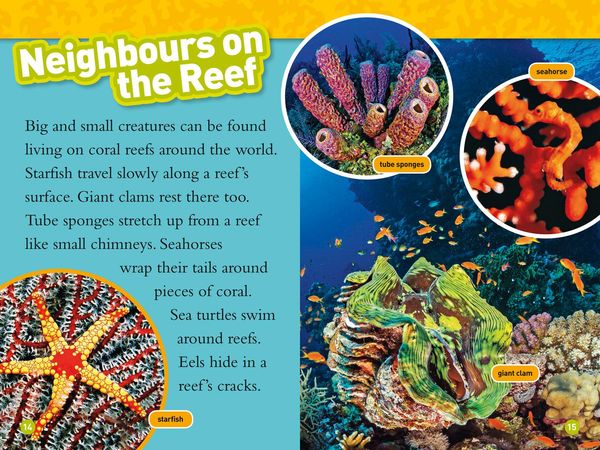 Produktbild: Coral Reefs