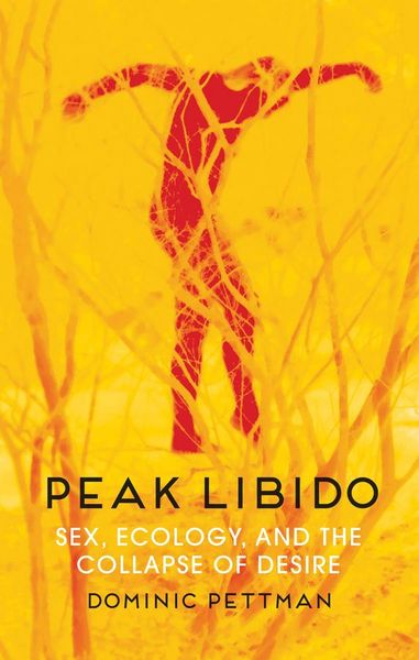 Produktbild: Peak Libido