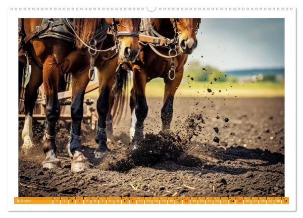Produktbild: Arbeitspferde in Action (hochwertiger Premium Wandkalender 2027 DIN A2 quer), Kunstdruck in Hochglanz