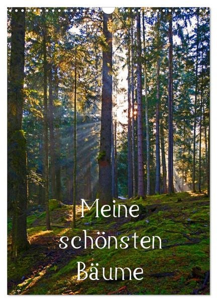 Produktbild: Meine sch&ouml;nsten B&auml;ume (Wandkalender 2026 DIN A3 hoch), CALVENDO Monatskalender