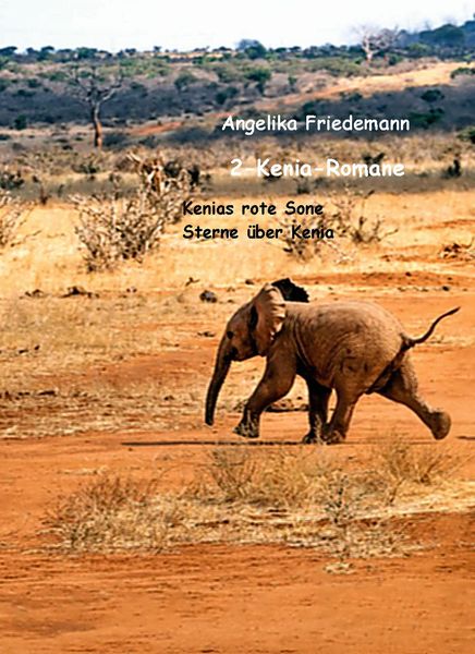 Produktbild: 2-Kenia-Romane