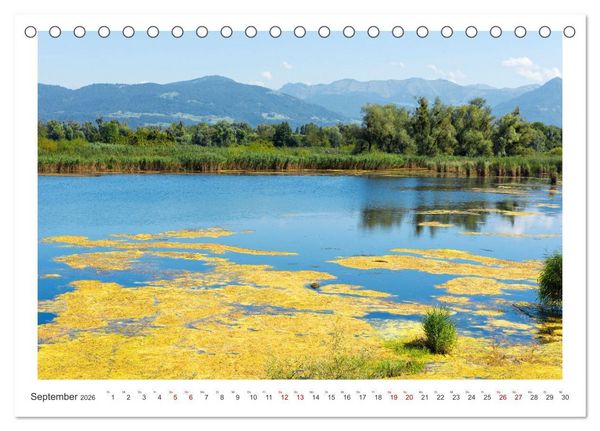 Produktbild: Bregenz am Bodensee (Tischkalender 2026 DIN A5 quer), CALVENDO Monatskalender