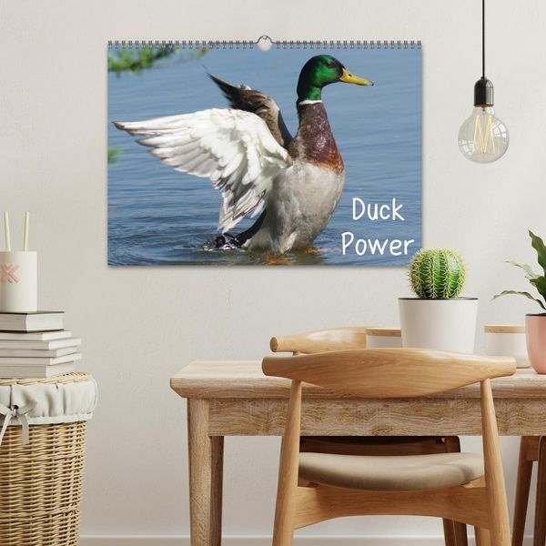 Produktbild: Duck Power (Wandkalender 2026 DIN A3 quer), CALVENDO Monatskalender