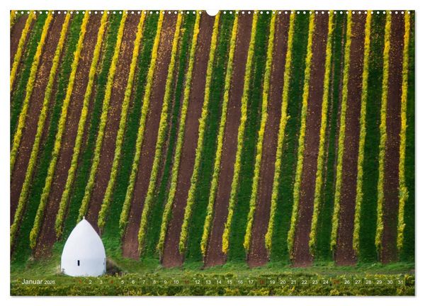 Produktbild: Wein - Landschaften (hochwertiger Premium Wandkalender 2026 DIN A2 quer), Kunstdruck in Hochglanz