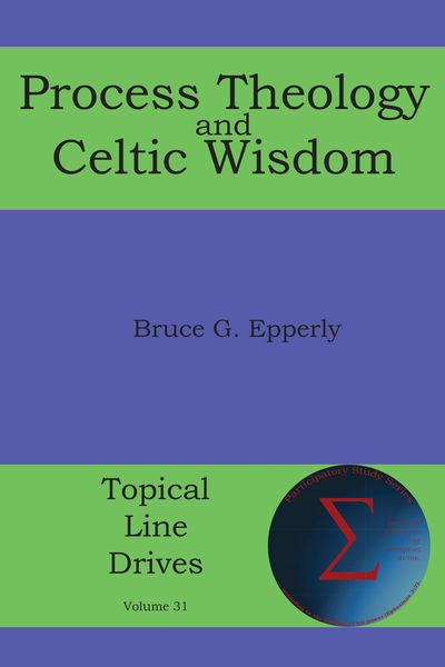 Produktbild: Process Theology and Celtic Wisdom