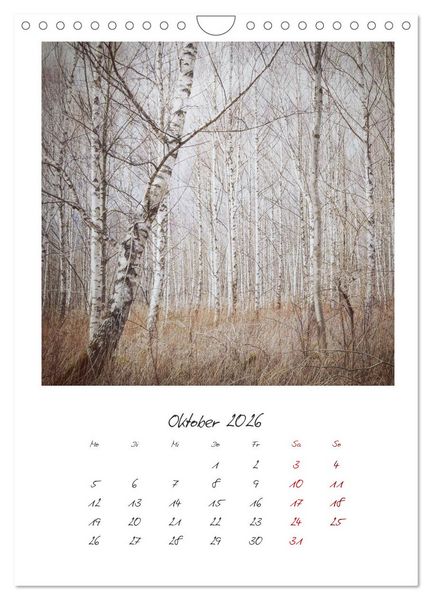 Produktbild: Rosenheim und Umgebung ... Landschaft genie&szlig;en (Wandkalender 2026 DIN A4 hoch), CALVENDO Monatskalender