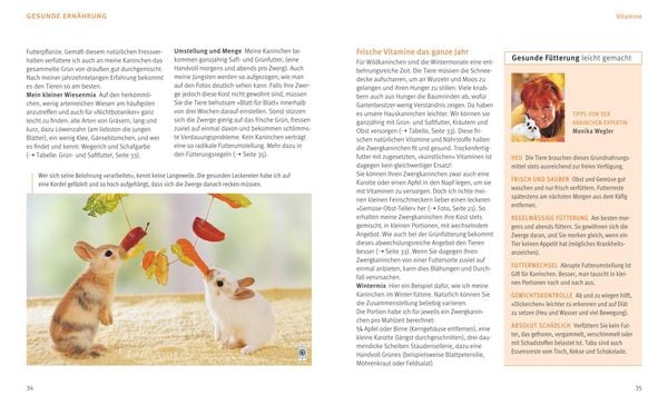 Produktbild: Zwergkaninchen