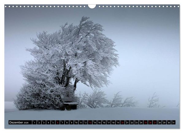 Produktbild: WETTER-LANDSCHAFTEN (Wandkalender 2026 DIN A3 quer), CALVENDO Monatskalender