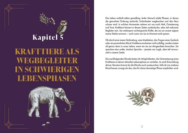 Produktbild: Krafttiere &ndash; Gef&auml;hrten der Seele