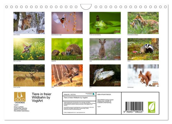 Produktbild: Tiere in freier Wildbahn by VogtArt (Wandkalender 2026 DIN A4 quer), CALVENDO Monatskalender