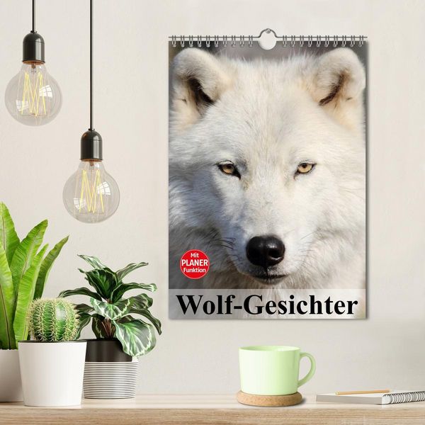 Produktbild: Wolf-Gesichter (Wandkalender 2026 DIN A4 hoch), CALVENDO Monatskalender