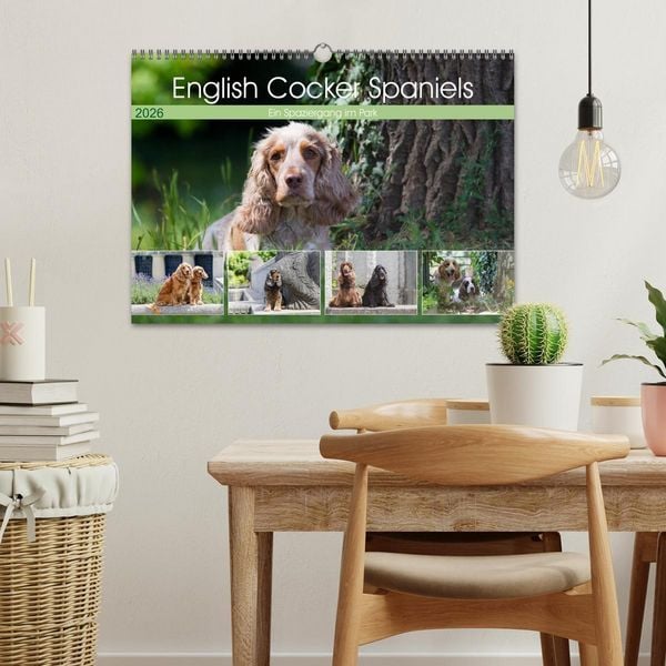 Produktbild: English Cocker Spaniels - Ein Spaziergang im Park (Wandkalender 2026 DIN A3 quer), CALVENDO Monatskalender