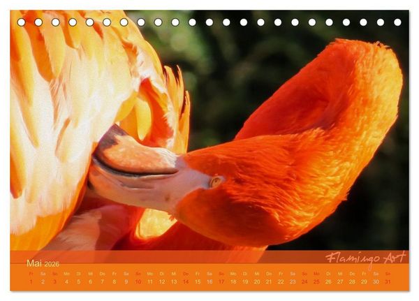 Produktbild: Flamingo Art 2026 (Tischkalender 2026 DIN A5 quer), CALVENDO Monatskalender
